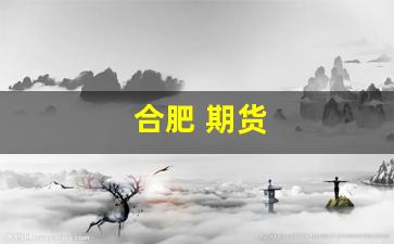 合肥 期货(合肥期货公司有哪些)_https://www.nalian8.com_深交所_第1张